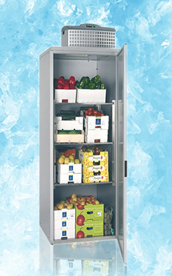 холодильная камера для фруктов