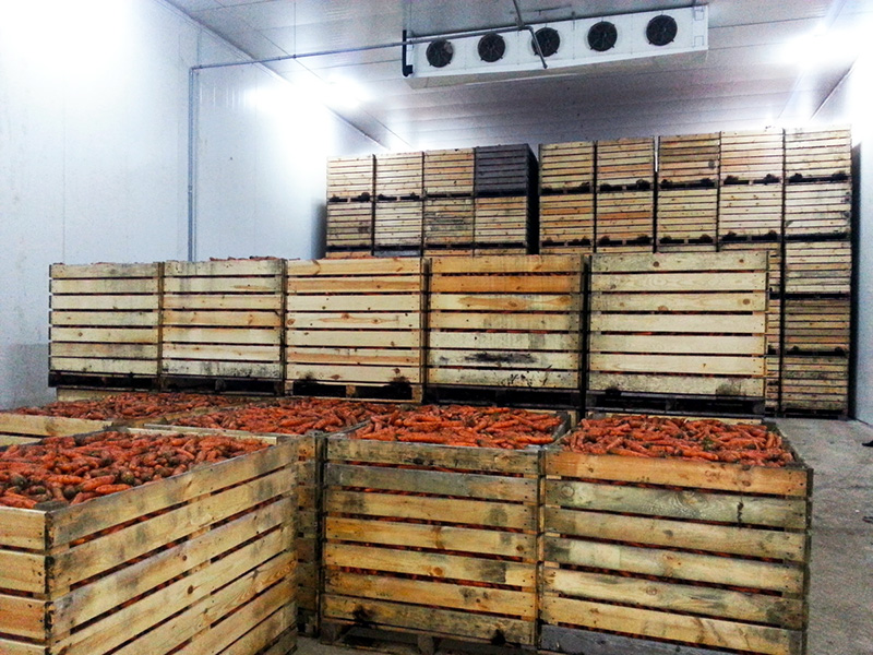 Овощехранилище для хранения моркови